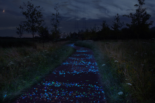 Eindhoven Cycle Path Lit up in Van Gogh Style