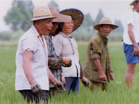 The Farming Song of Qingpu District in Shanghai