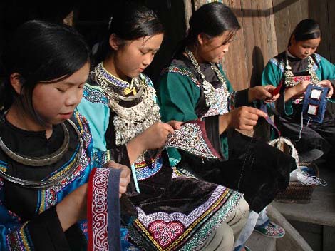Horsetail Embroidery of The Shui Minority