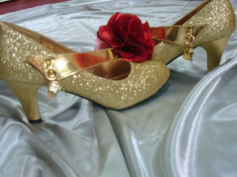 Diversified Wedding Shoes, Various Stories_2