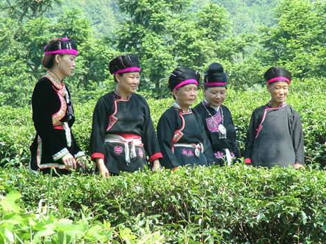 Folk Songs of She Ethnicity in Zhejiang Province