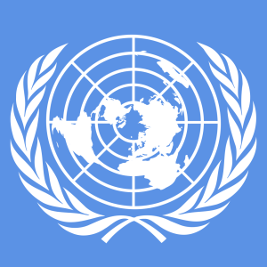 UN Panel Passes Draft Resolution on Digital Privacy Threats