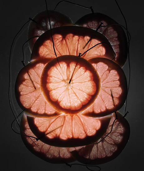 Caleb Charland's Fruit Fueled Light