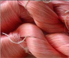 Scientists Feed Dyed Leaf to Silkworms for Colored Fibers