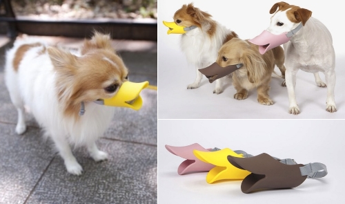 A New Pet Mask for Dogs in Japan