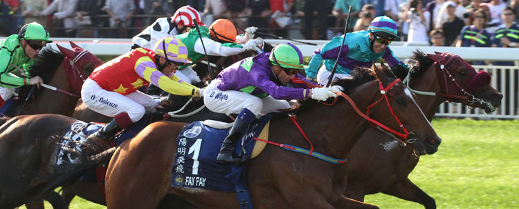 2013 Hong Kong Derby Renamed by BMW