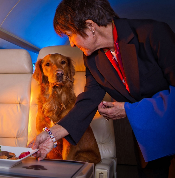Luxury Air Traveling with Pets: FURst Class Service