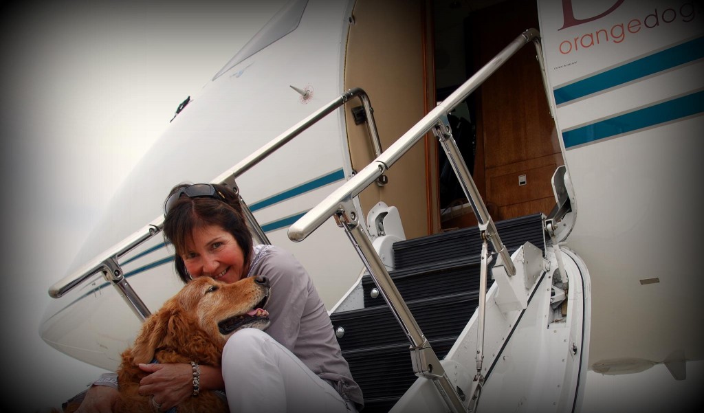 Luxury Air Traveling with Pets: FURst Class Service_2