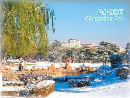 Doing Business in Jilin Province of China:III.Investment_1