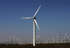 Siemens Get The Largest Wind Power Order in The World
