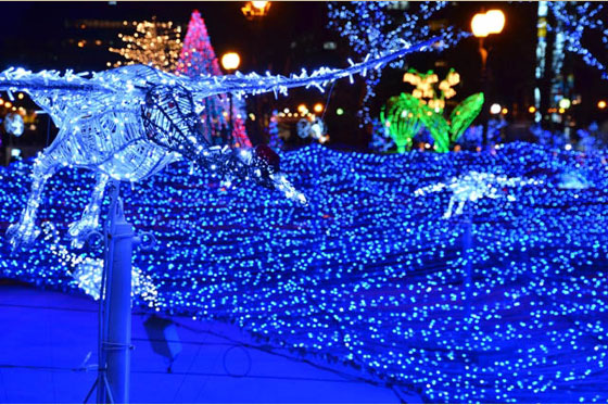 Japan Christmas Lighting Extravaganza