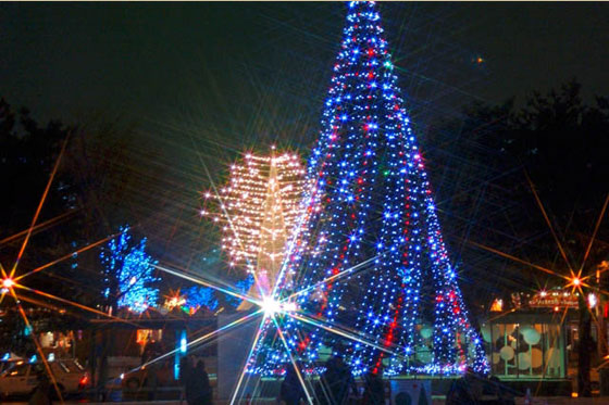 Japan Christmas Lighting Extravaganza_1