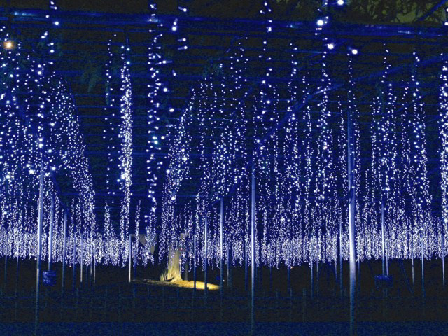 Japan Christmas Lighting Extravaganza_3