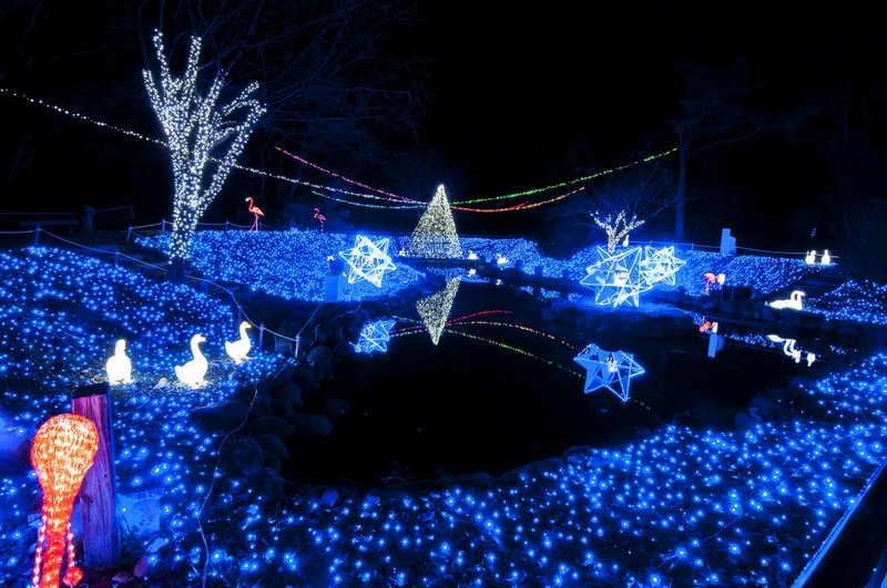 Japan Christmas Lighting Extravaganza_9