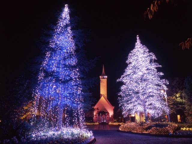 Japan Christmas Lighting Extravaganza_15