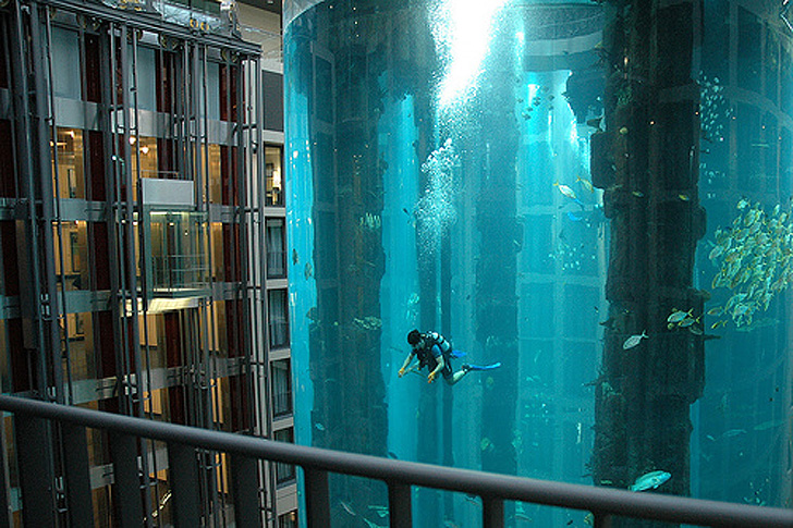 Sea Life and Diving Without Leaving The Hotel