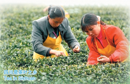 Doing Business in Sichuan Province of China:II. Economy_2
