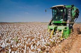 Argentine Province Gets Fund for Mechanized Cotton Harvest
