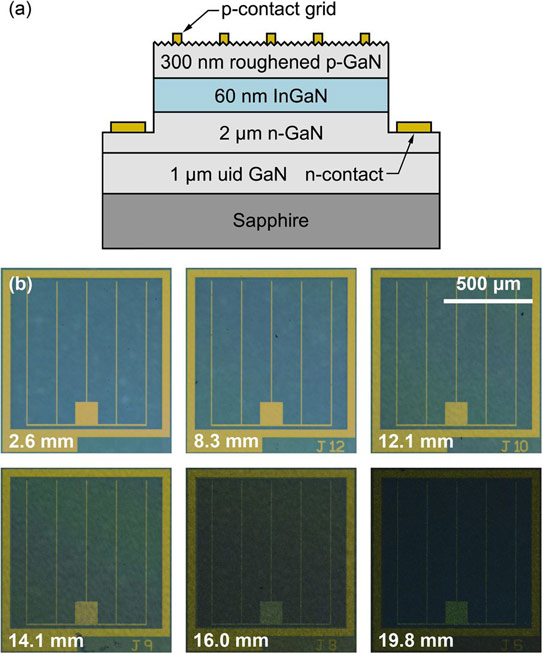 MOCVD Surface Roughening for Photon Absorption Boost in Ingan Solar Cell