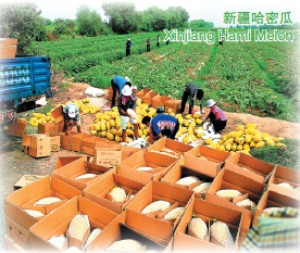 Doing Business in Xinjiang Uygur Autonomous Region of China: Economy_2