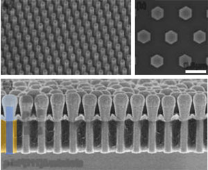 INP Nanowire Solar Cells with Improved Short-Wavelength Response
