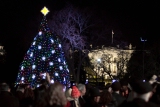 90th National Christmas Tree to Shine Brightly with GE LED Lights