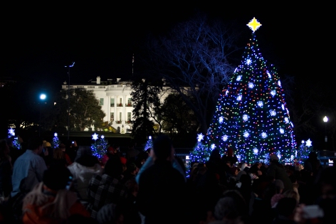 90th National Christmas Tree to Shine Brightly with GE LED Lights_1