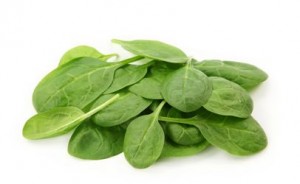 Organic Baby Spinach Recalled Nationwide Over E. Coli Concerns