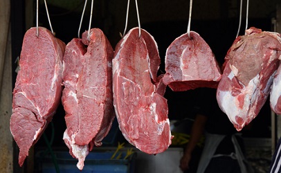 Ca Producer Behind Huge Beef Recall Halts Operations; USDA Investigates