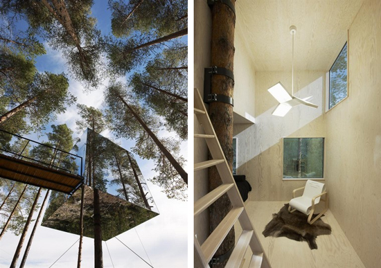The Treehotel - Groundbreaking Architecture in a Tree!_3