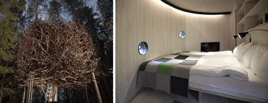 The Treehotel - Groundbreaking Architecture in a Tree!_6