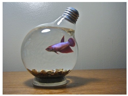 Get Fishy with The Light Bulb Fish Tank_2