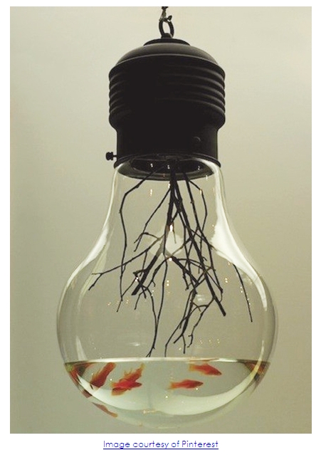 Get Fishy with The Light Bulb Fish Tank_4