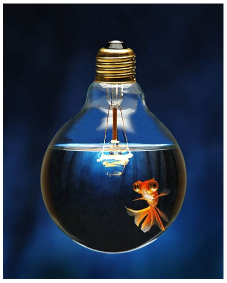 Get Fishy with The Light Bulb Fish Tank_5