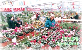 Doing Business in Hebei Province of China: Economy_5