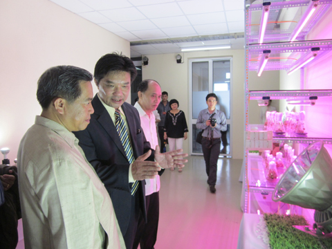 Vietnam: Plants Grow Rapidly, Safely with LED Lamps