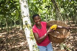 Hershey's Expands Cocoa Program in Ghana