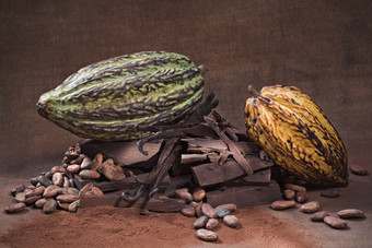 Barry Callebaut Buys Petra Foods' Cocoa Arm