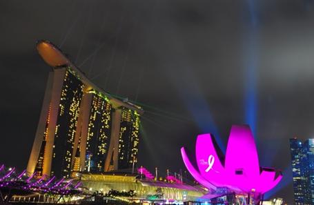 Estee Lauder Lighted up in Pink Singapore&#8217; S Marina Bay Sands, Helix Bridge and The Artscience Museum