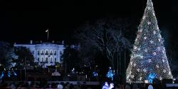 NYC, DC, LA, Houston: Lighting up The Holidays with LED Christmas Trees