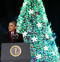 NYC, DC, LA, Houston: Lighting up The Holidays with LED Christmas Trees_1