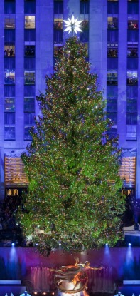 NYC, DC, LA, Houston: Lighting up The Holidays with LED Christmas Trees_2