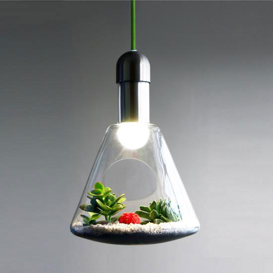 Bring Nature Indoors With The Planting Light