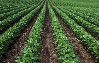 Verdesian Life Sciences Announces New Seed Inoculant Product for Soybeans