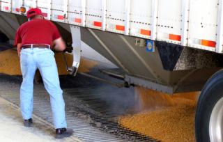 USDA Report Follow-up: Corn, Soybean Profitabilty Returning in 2015?