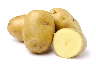 USDA Approves Commercial Planting of Genetically Engineered Potato