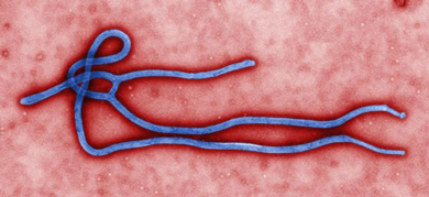 Gates Foundations to Spend Millions on Devices to Combat Ebola