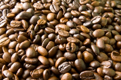 Massimo Zanetti Beverage Opens New Coffee Roasting Plant in Vietnam