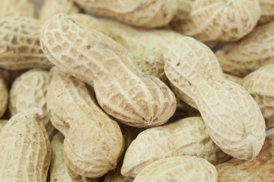 Olam to Acquire Peanut Sheller Mccleskey Mills for $176m