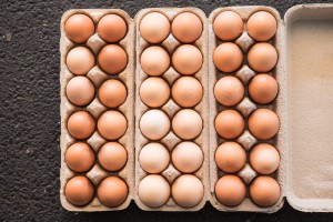 Supermarket Dumping of Cage Eggs Could Result in Egg Shortages